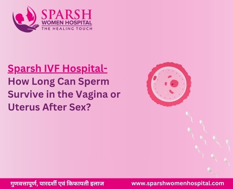 what is IVF?