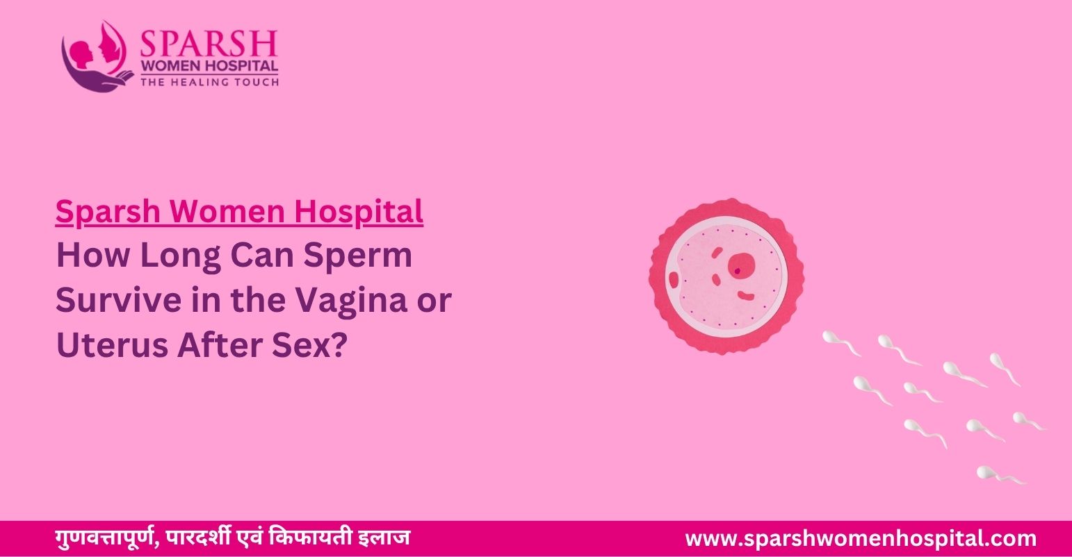 What Are The Stages of IVF? How Long Can Sperm Survive in the Vagina or Uterus After Sex?