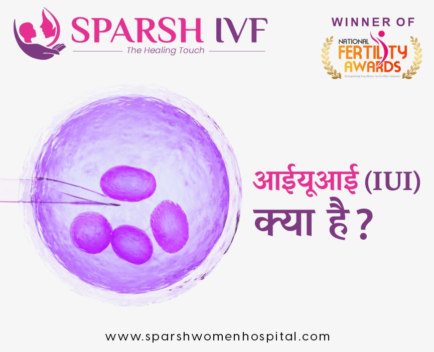  आईयूआई क्या है 