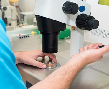 what is IVF Process